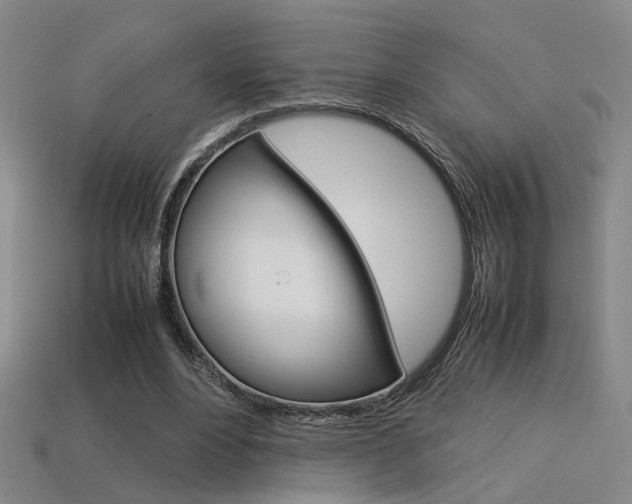 X0000113350488200909151029