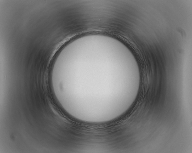 X0000113350492200909151029