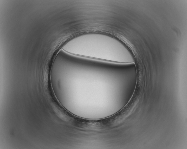 X0000113350493200909151029
