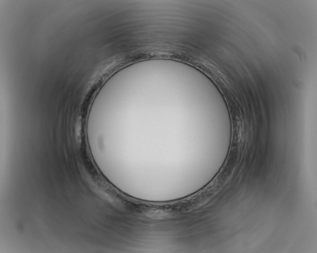 X0000113350494200909151029