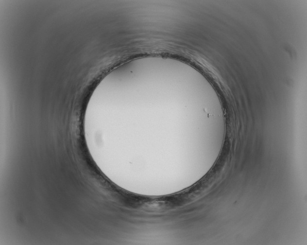 X0000113350497200909151029