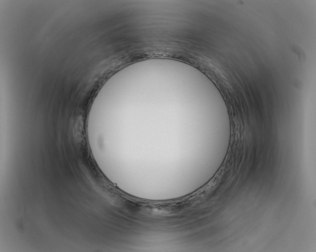 X0000113350498200909151029
