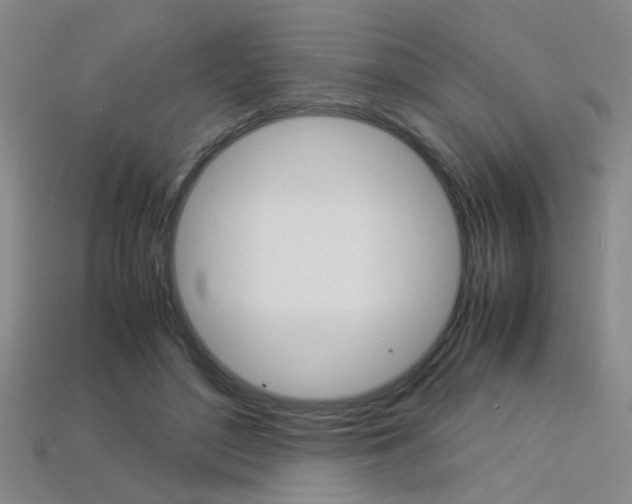 X0000113350500200909151029