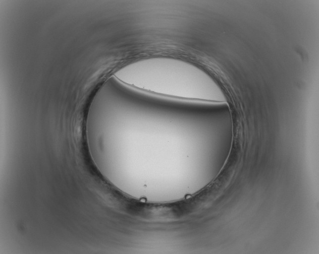 X0000113350501200909151029