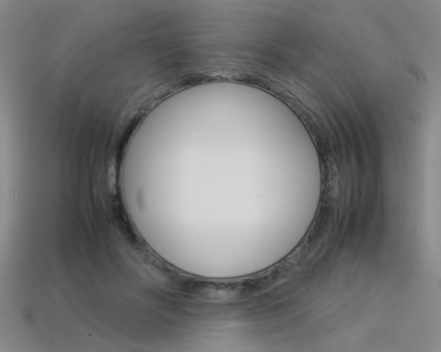 X0000113350502200909151029