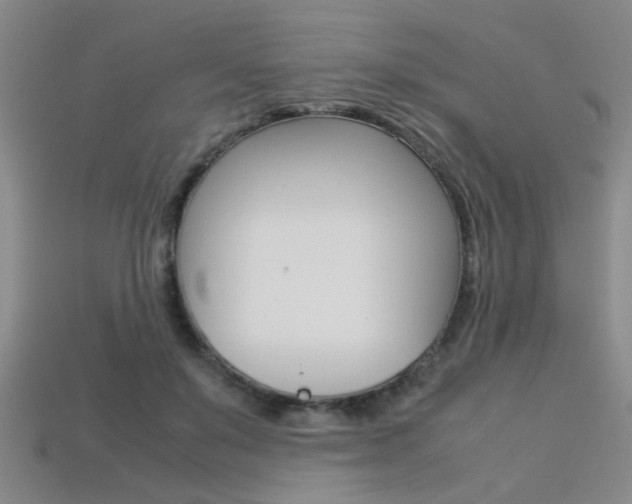 X0000113350503200909151029