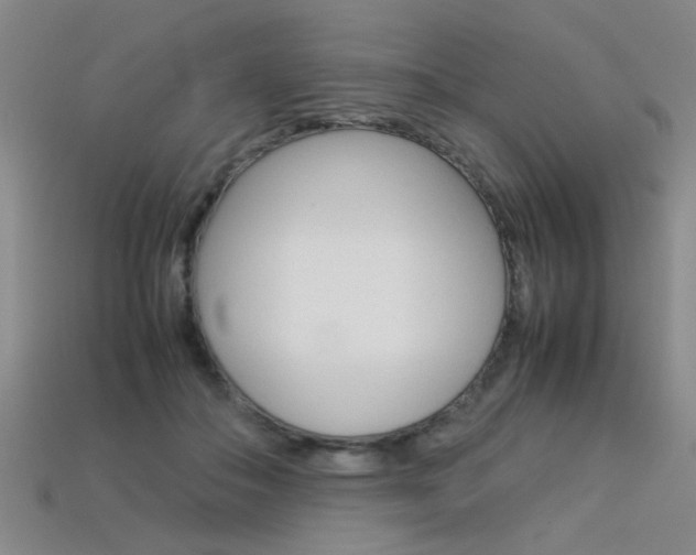 X0000113350506200909151029