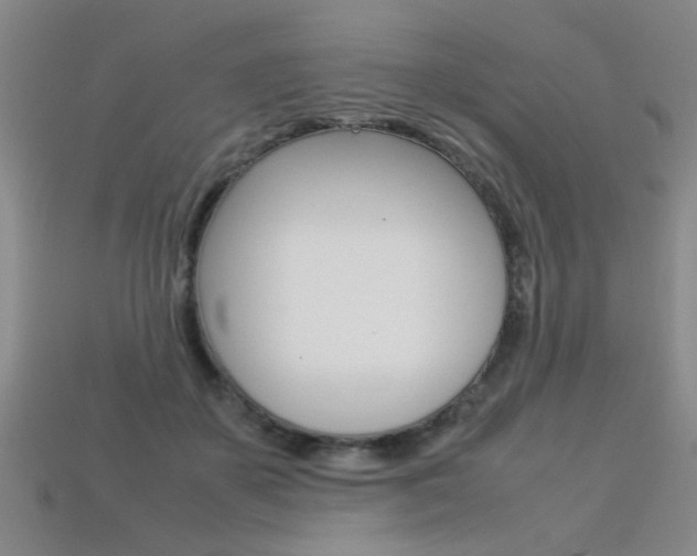 X0000113350507200909151029