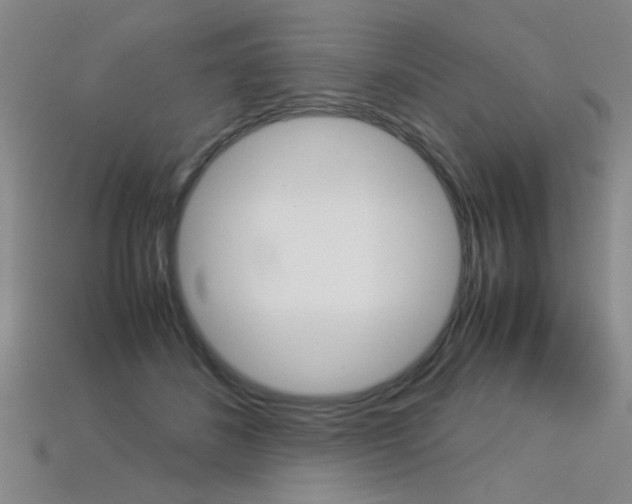 X0000113350508200909151029