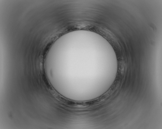 X0000113350510200909151029