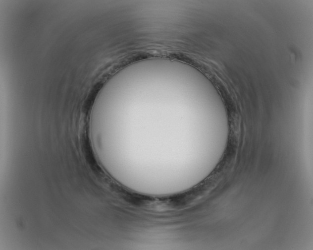 X0000113350511200909151029