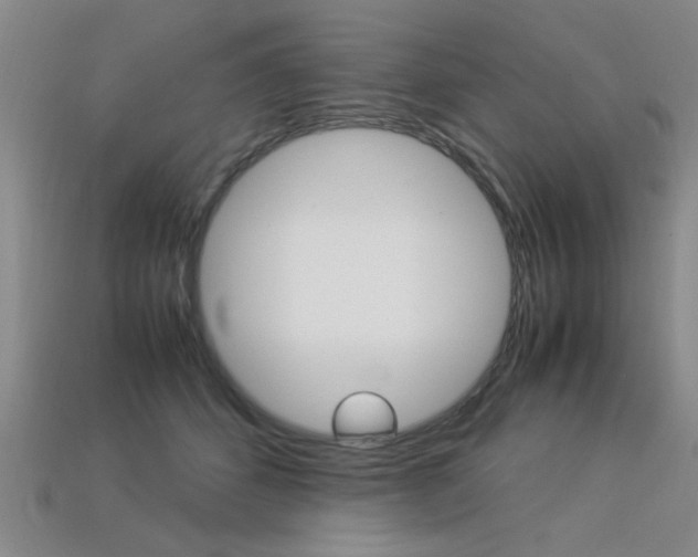 X0000113350512200909151029