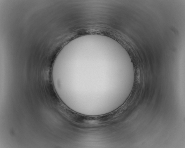 X0000113350514200909151029