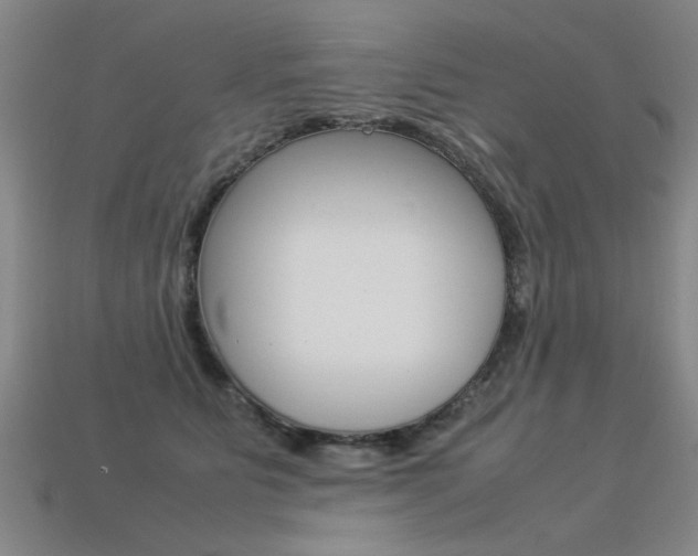 X0000113350515200909151029