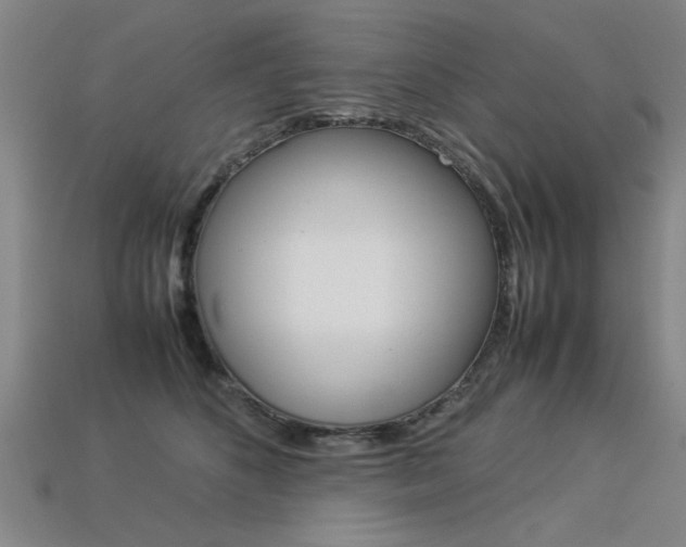 X0000113350516200909151029