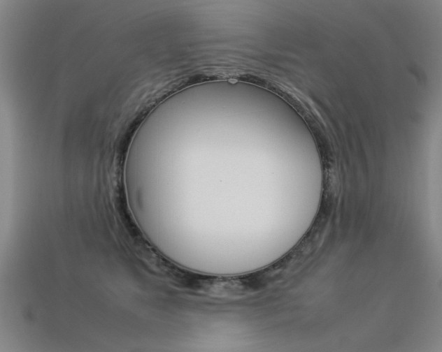 X0000113350517200909151029