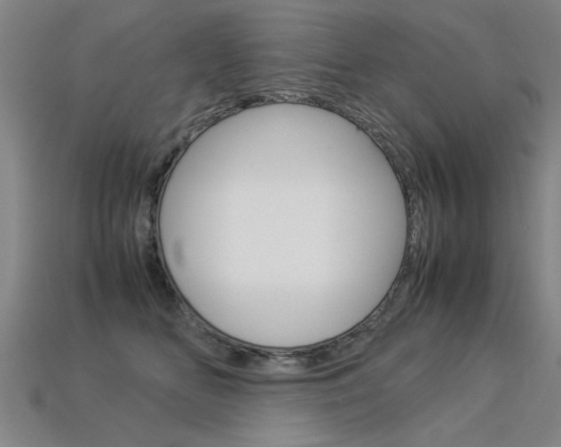 X0000113350518200909151029