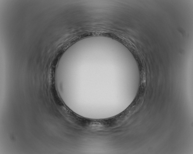 X0000113350519200909151029