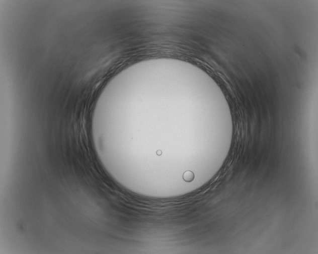 X0000113350520200909151029