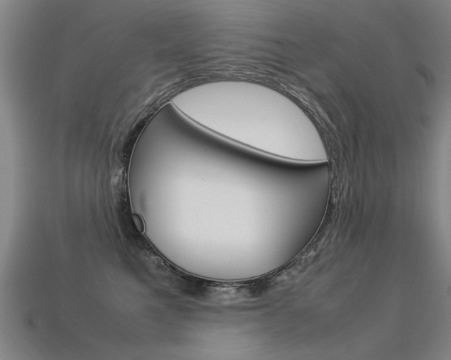 X0000113350521200909151028