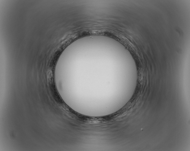 X0000113350523200909151028