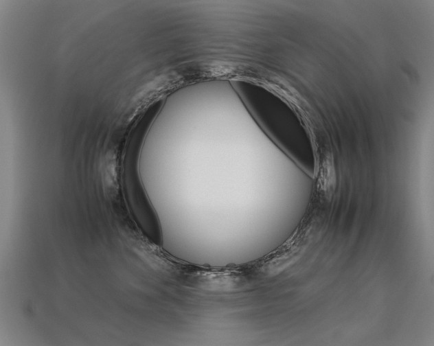 X0000113350524200909151028