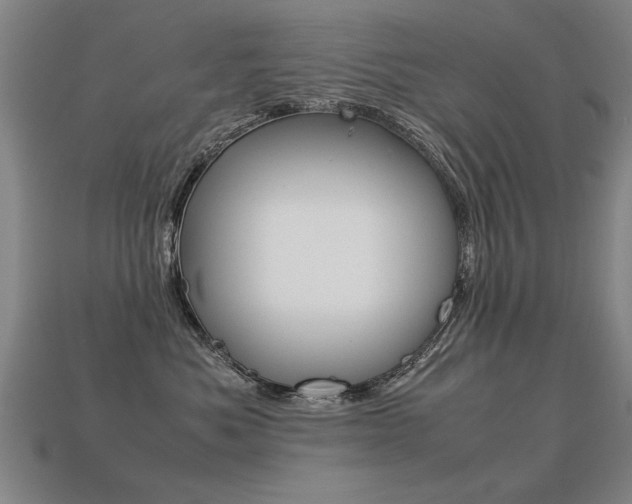 X0000113350525200909151028