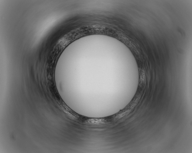 X0000113350526200909151028