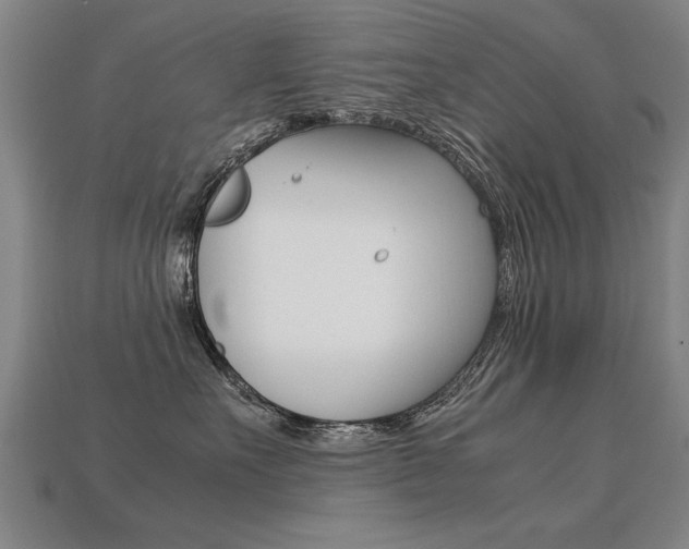 X0000113350527200909151028