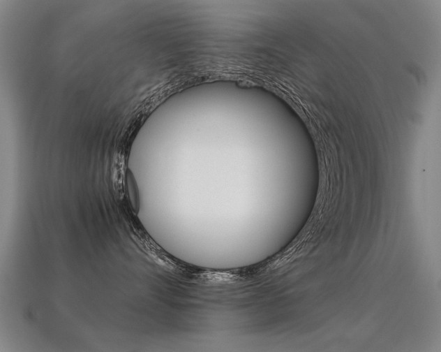 X0000113350528200909151028