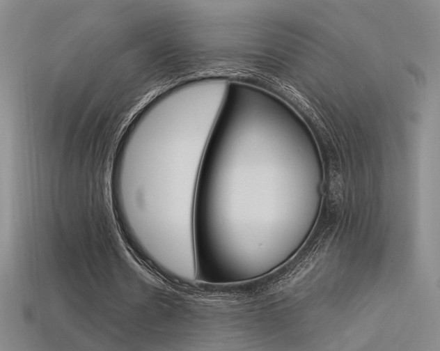 X0000113350530200909151028
