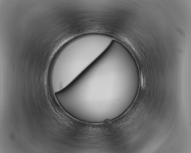 X0000113350531200909151028
