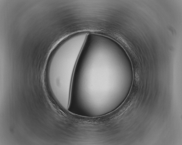 X0000113350532200909151028