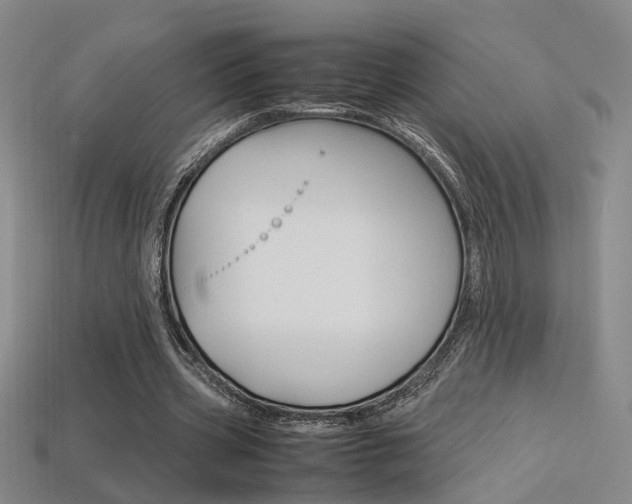 X0000113350533200909151028