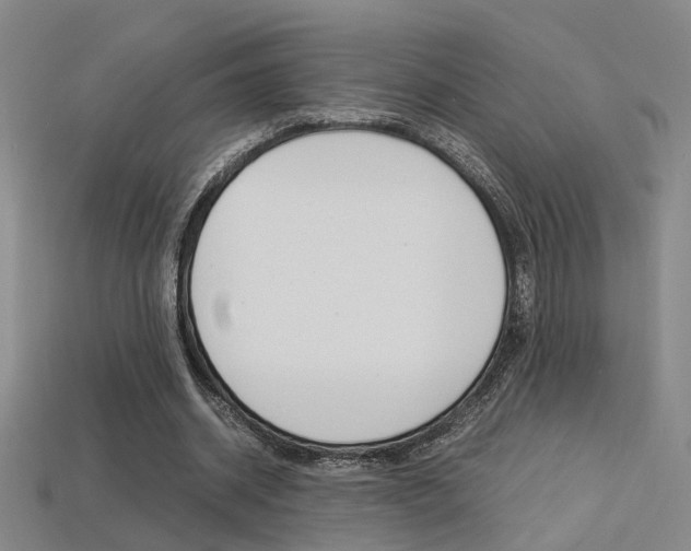 X0000113350534200909151028