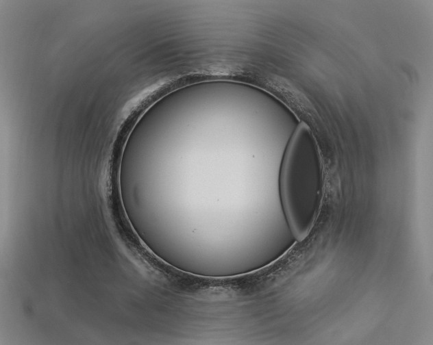 X0000113350536200909151028