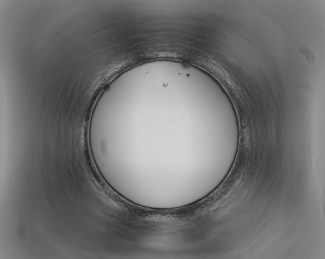 X0000113350537200909151028