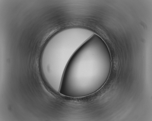 X0000113350538200909151028