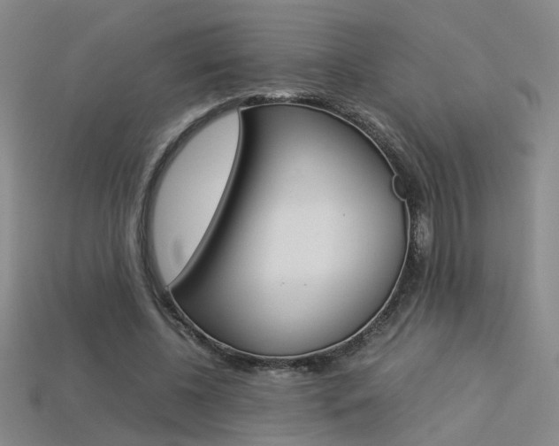 X0000113350540200909151028