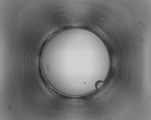 X0000113350542200909151028