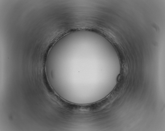 X0000113350546200909151028
