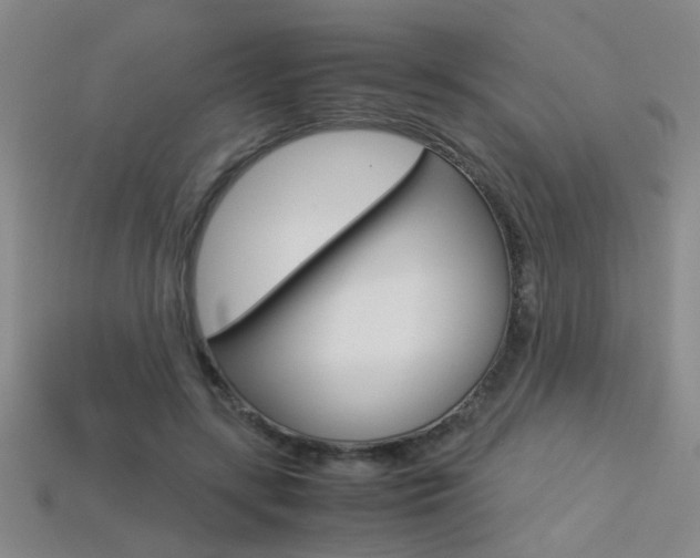 X0000113350547200909151028