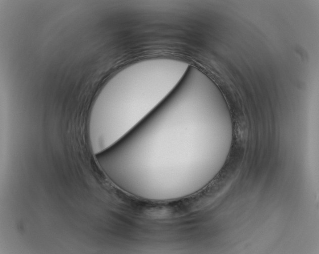 X0000113350551200909151028