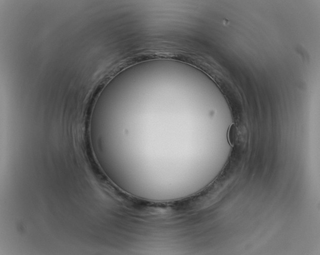 X0000113350552200909151028