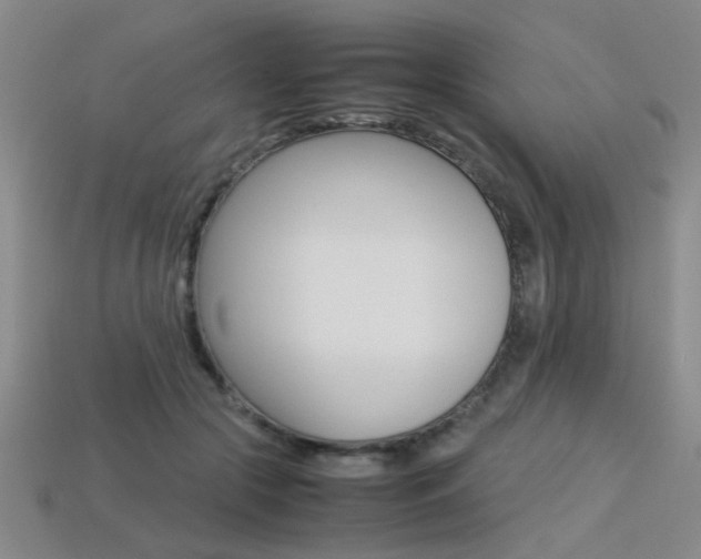 X0000113350553200909151028