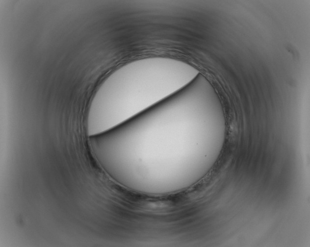 X0000113350555200909151028