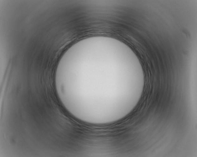 X0000113350556200909151028