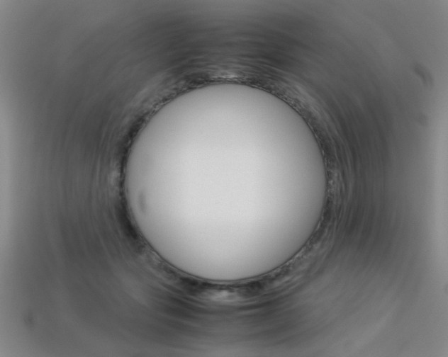 X0000113350557200909151028