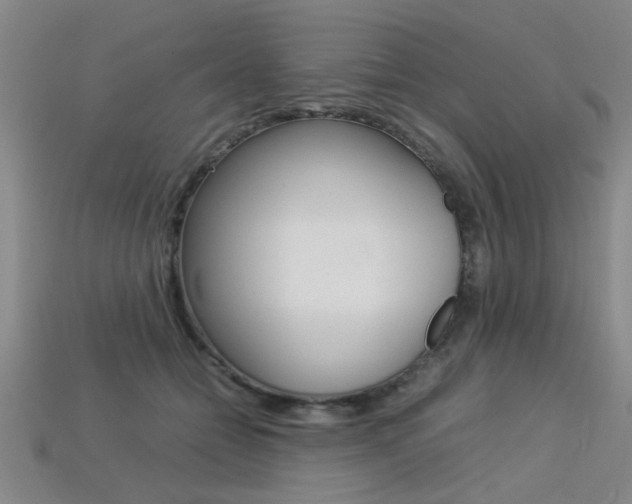 X0000113350558200909151028