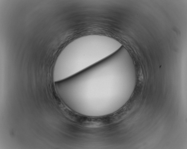 X0000113350559200909151028